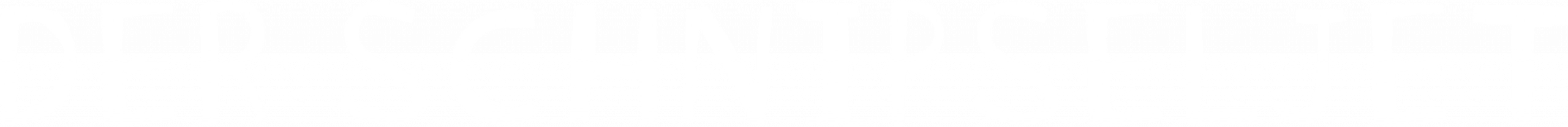 Logo und Schriftzug von „Der Schnipseljet“ in weiß